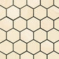 PROSAUNAS Hive Aspen Sauna Wall Panels, Hexagon Pattern, Natural Aspen
