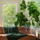 Cotton Duvet Cover