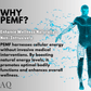 ZAQ Infrared PEMF Travel Mat