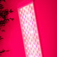 Renew Red Light The Panorama Panel
