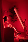 Renew Red Light The Panorama Panel