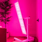Renew Red Light The Panorama Panel
