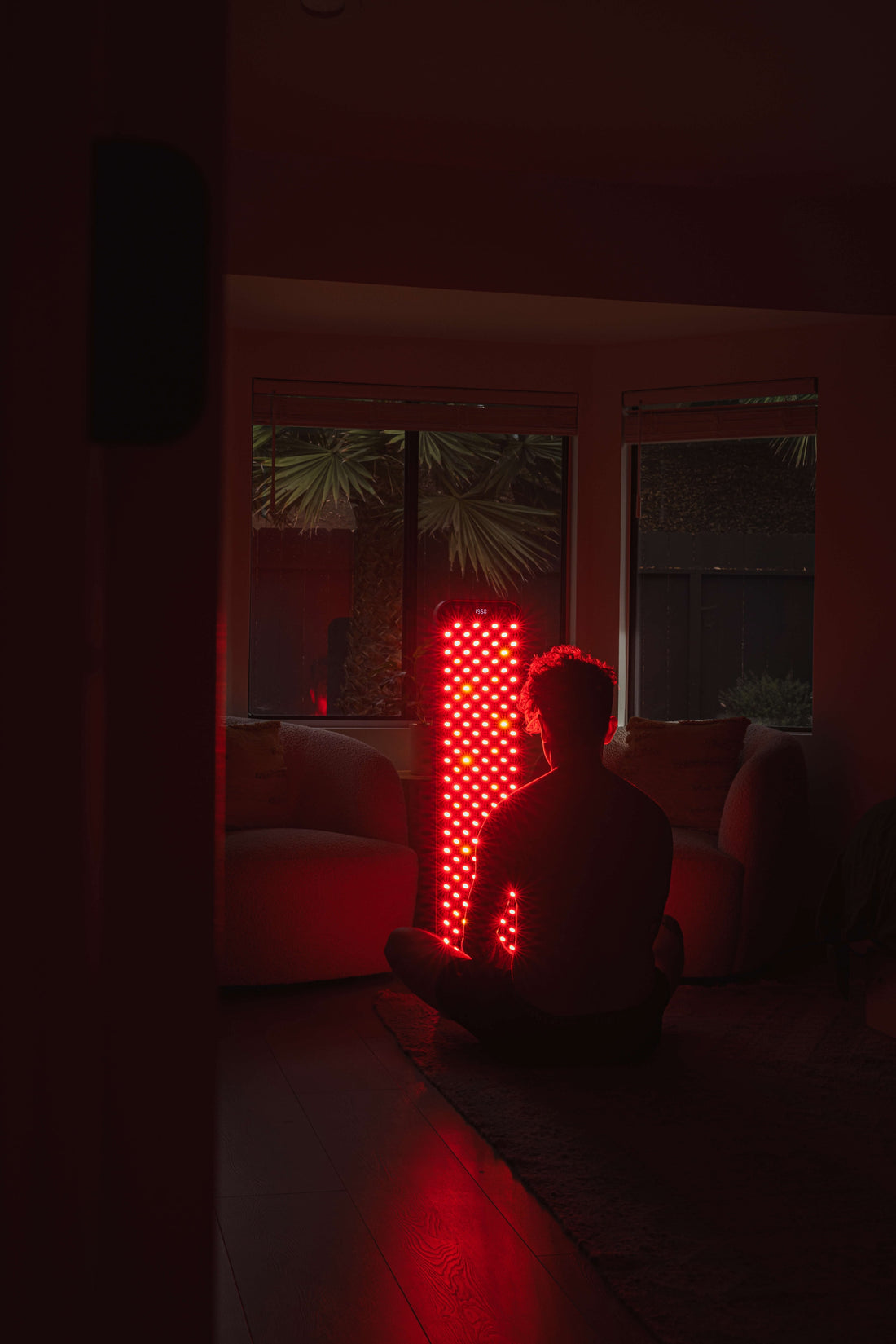 Renew Red Light The Large Panel